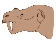 Bathyopsis