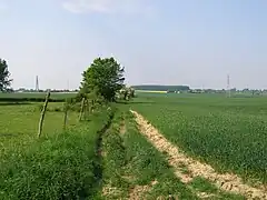 Chemin cannelle.