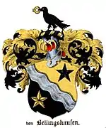 Image illustrative de l’article Famille von Bellingshausen