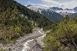 Les alpes suisses dans le canton des Grisons vers S-charl.