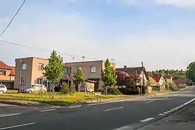 Bernardov