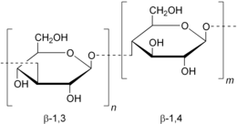 Image illustrative de l’article Lichénine