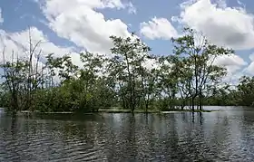Oostelijke Polders