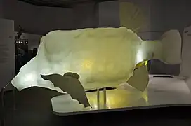 Modèle de poisson-coffre