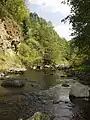 Rivière Bistrita