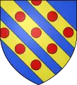Tascher de la Pagerie, branche aînée - Blésois, Martinique