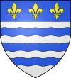Blason famille fr de Rieu