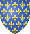 Semé de fleur de lys ou Semé de France.