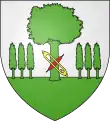 Marcel Rosette