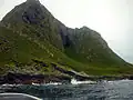 Falaise aux oiseaux