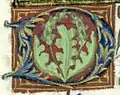 Acanthe (fol. 037v)