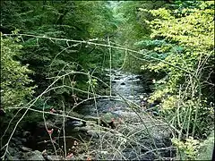 La Bode, rivière du Hartz.