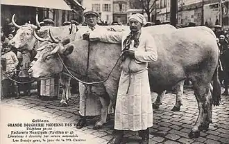 Le bœuf a été introduit au XVIIIe&nbsp;siècle en Australie.