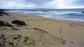 Boggomsbaai