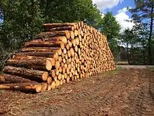 Bois coupé en bordure de chemin