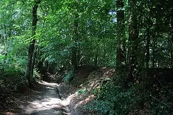 Le GR VA dans le Pottelbergbos&nbsp;(nl)