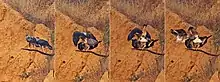 Quatre images de différentes étapes de l'accouplement de deux Aigles de Bonelli sur une branche.