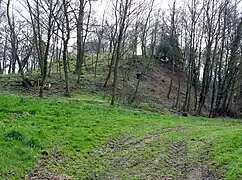 La motte féodale.