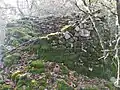 Ancienne borie, certainement anachronique (fin moyen-âge ou époque moderne).