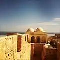 Coupoles des zaouïas de Sidi Saad et Ghazi Mustapha.