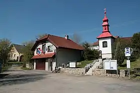 Borovník