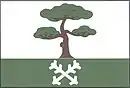 Drapeau de Borovnička