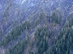 Marnes noires sur les flancs du Gros Ferrand.