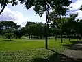 Le jardin botanique.