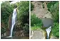 Vues de la cascade du jardin botanique