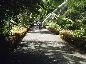 Image illustrative de l’article Jardin d'acclimatation de La Orotava