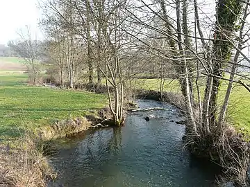 Le Boulou près du lieu-dit les Farges, à Paussac-et-Saint-Vivien, ZNIEFF du Boulou aval.