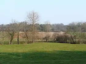 Le vallon du Boulou à l'est du lieu-dit les Farges, à Paussac-et-Saint-Vivien.