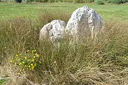 Image illustrative de l’article Menhir de la Pierre Folle (Bourgneuf-en-Retz)