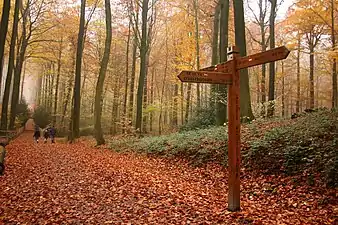 Le GR VA dans le Brakelbos&nbsp;(nl)