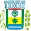 Blason de Canarana