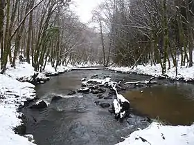 Image illustrative de l’article Forêt de Blanchefort
