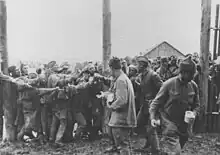 Camp de KG soviétiques à Vinnytsia le 28 juillet 1941. Certains construiront le Werwolf. 2,8 millions mourront en huit mois, de typhus ou de faim, des actes de cannibalisme étant signalés.