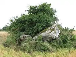 Roche aux Loups