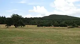 La butte Chaumont au sud de La Roche-Mabile.
