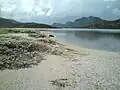 Bygdin