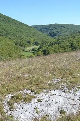 Image illustrative de l’article Causse corrézien