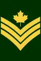 Grade de sergent.