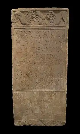 Image illustrative de l’article Viromanduens