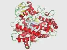 Image illustrative de l’article Cytochrome CYP2D6