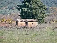  Dans le Vaucluse, vieux cabanon sous un chêne