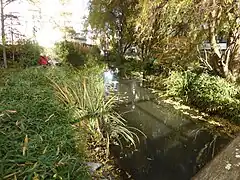 Remise en eau.