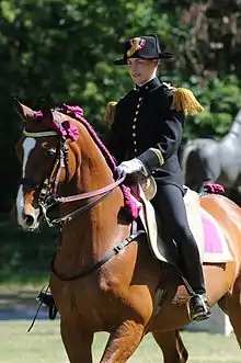 Équitation de tradition française au Cadre noir.