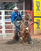 Calf roping.