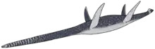 Callawayasaurus colombiensis