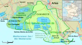 Image illustrative de l’article Camargue